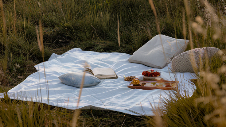 Embracing Sustainability for Mind and Soul