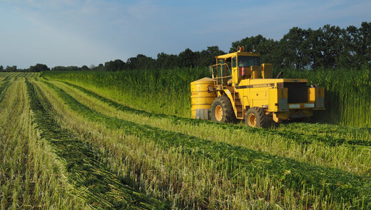 Hemp In China: Why China Leads the World in Hemp Textiles